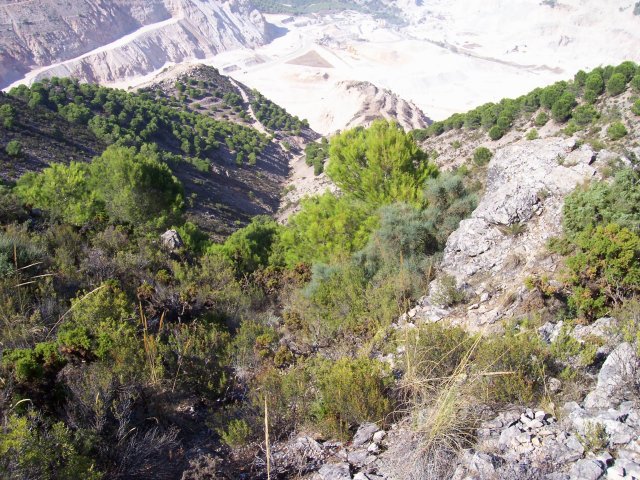 Arroyo_Puerto_de_la_Cruz_2.JPG
