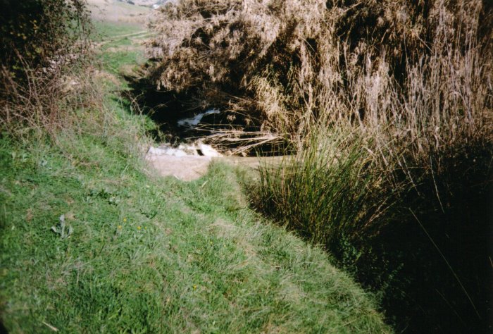 Arroyo_Blas_Gonzalez4.jpg