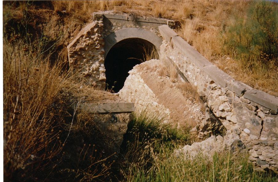 Huertas_4.jpg