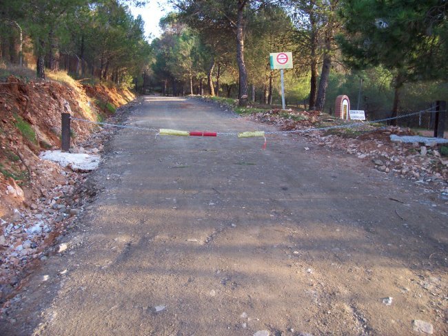 Cadena.jpg