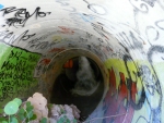 <a href='javascript:PopupPic('http://www.alhaurin.com/noticias/imagenes/2012/Abril/grafiti.jpg')'><img src='http://www.alhaurin.com/nuevo/imagenes/lupita.gif'></a>