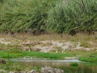 <a href='javascript:PopupPic('http://www.alhaurin.com/noticias/imagenes/2012/Agosto/recorrido.jpg')'><img src='http://www.alhaurin.com/nuevo/imagenes/lupita.gif'></a>