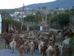 <a href='javascript:PopupPic('http://www.alhaurin.com/noticias/imagenes/2013/Diciembre/agricultura.jpg')'><img src='http://www.alhaurin.com/nuevo/imagenes/lupita.gif'></a>