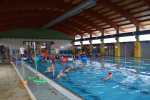 <a href='javascript:PopupPic('http://www.alhaurin.com/noticias/imagenes/2014/Enero/piscina_coin.jpg')'><img src='http://www.alhaurin.com/nuevo/imagenes/lupita.gif'></a>