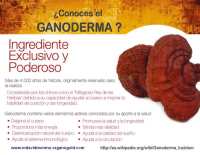 <a href='javascript:PopupPic('http://www.alhaurin.com/noticias/imagenes/2014/Mayo/ganoderma.jpg')'><img src='http://www.alhaurin.com/nuevo/imagenes/lupita.gif'></a>