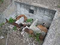 <a href='javascript:PopupPic('http://www.alhaurin.com/noticias/imagenes/2016/Febrero/macabro_hallazgo.jpg')'><img src='http://www.alhaurin.com/nuevo/imagenes/lupita.gif'></a>