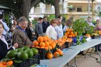 <a href='javascript:PopupPic('http://www.alhaurin.com/noticias/imagenes/2016/Mayo/concurso_hortofruticola.jpg')'><img src='http://www.alhaurin.com/nuevo/imagenes/lupita.gif'></a>