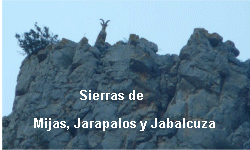Sierras de Alhaurin, Jabalcuza y Jarapalos