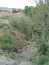 arroyo1.jpg (997226 bytes)